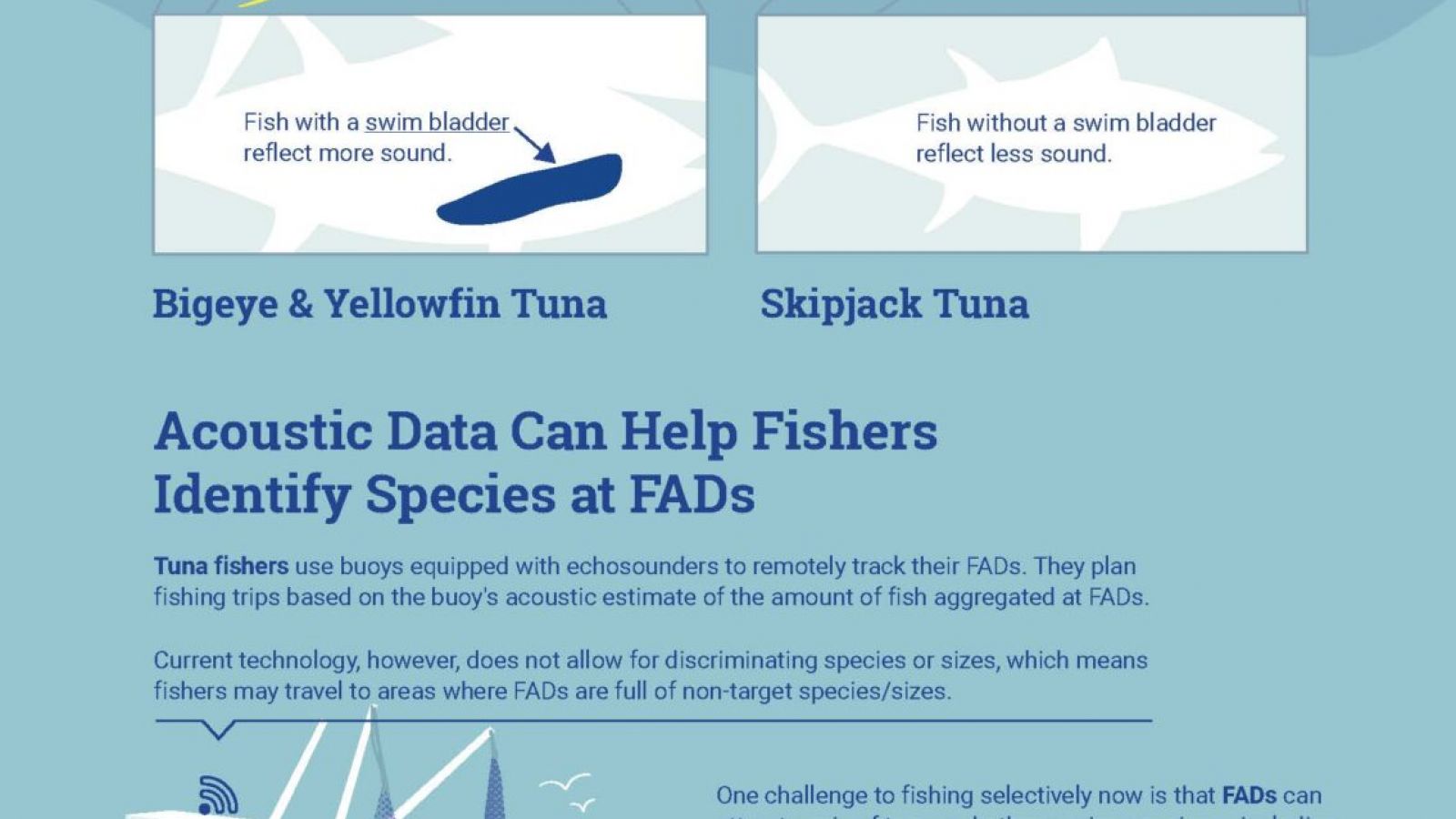 Tuna Conservation - International Seafood Sustainability Foundation