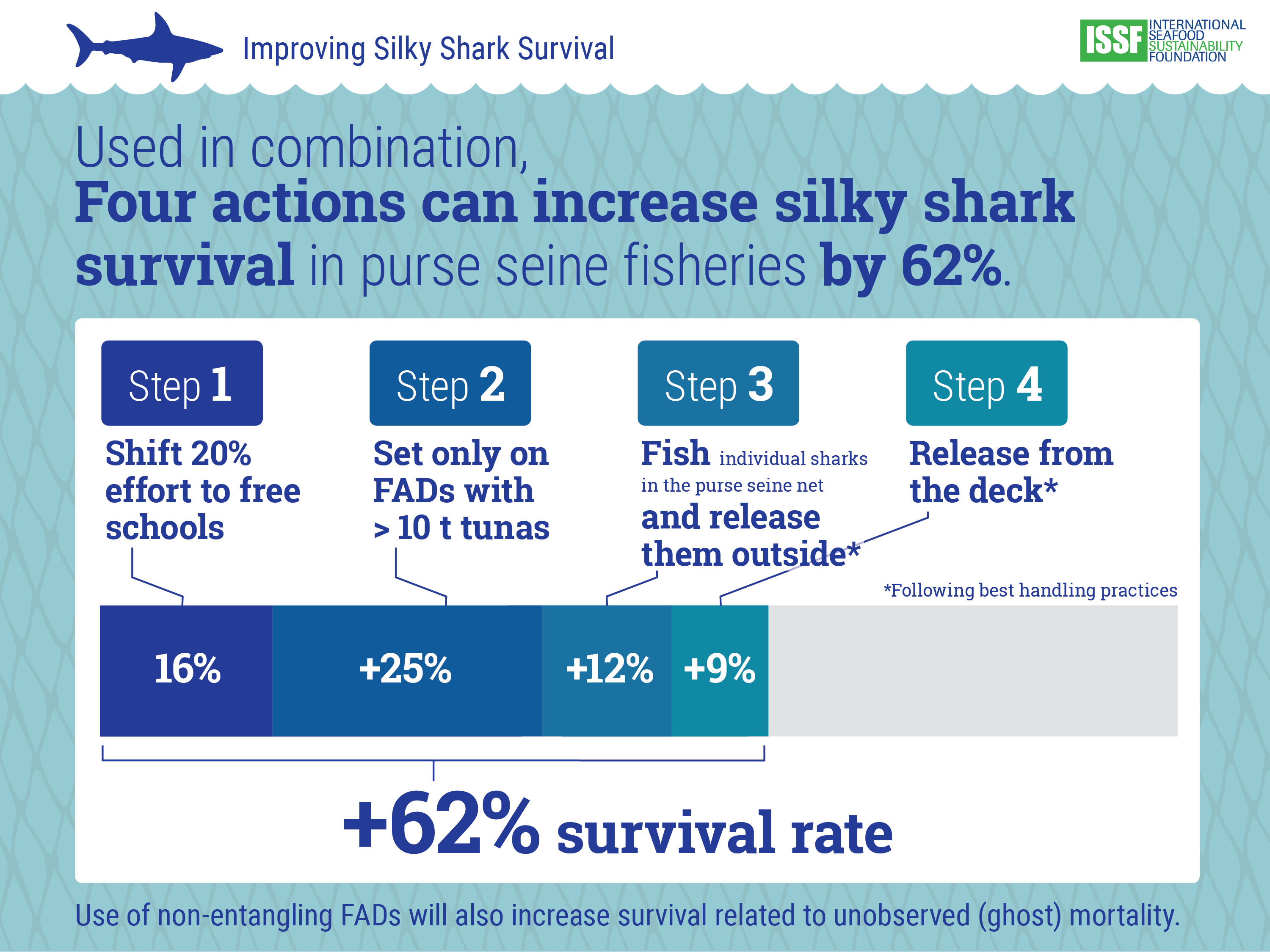 Silky Shark перевод. Tuna Fishing seiner. Int test