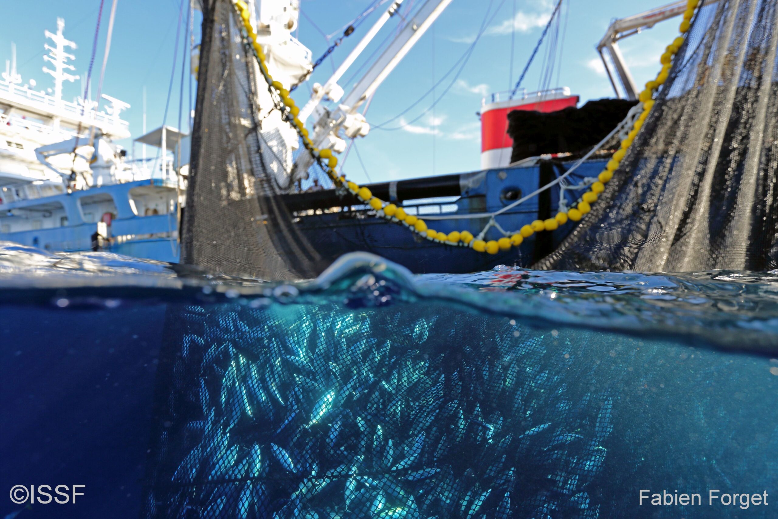 Pelagic trawling - International Seafood Sustainability Foundation