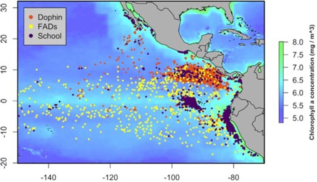 Mobulid ray bycatch in the Eastern Pacific Ocean